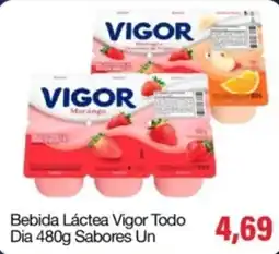 Spani Atacadista Bebida Láctea Vigor Todo Dia oferta