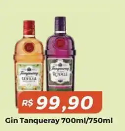 Mart Minas Gin Tanqueray oferta