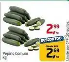 Tenda Atacado Pepino comum oferta