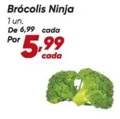 Dia Ninja - brócolis ninja oferta