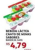 Assaí Atacadista Minas - bebida láctea canto de sabores oferta