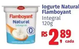 Camiño supermercados Iogurte natural flamboyant integral oferta