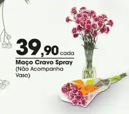 Zaffari Maço Cravo Spray oferta