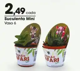 Zaffari Suculenta Mini Vaso 6 oferta