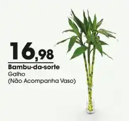 Zaffari Bambu-da-sorte oferta