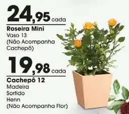 Zaffari Roseira Mini oferta