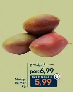 Coop Manga palmer oferta