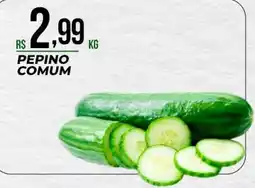 Supermercado Precito Pepino comum oferta