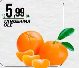Supermercado Precito Tangerina ole oferta