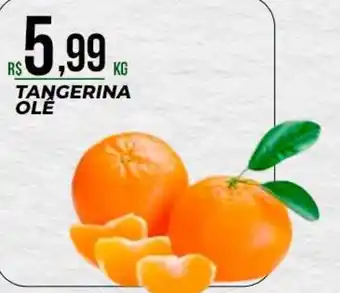 Tangerina ole