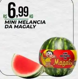 Supermercado Precito mini melancia da magaly oferta
