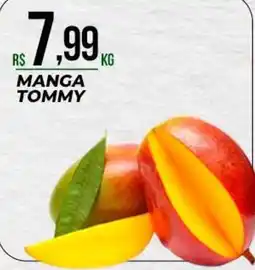 Supermercado Precito manga tommy oferta