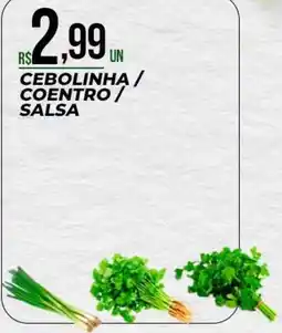 Supermercado Precito cebolinha / coentro / salsa oferta