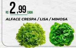 Supermercado Precito alface crespa / lisa / mimosa oferta