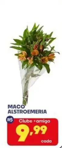 Boa Supermercados Maco alstroemeria oferta