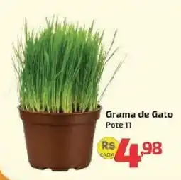 Supermercado Jacomar Gramas de gato oferta