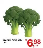 Fort Atacadista Ninja - brócolis ninja sat. un oferta