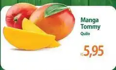 Tommy - manga quilo