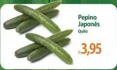 Atacadão Japonês - pepino japonês oferta