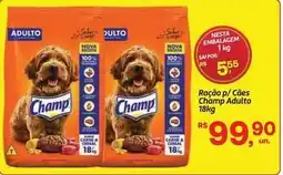 Fort Atacadista Champ - ração p/ cães adulto oferta