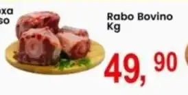 Rabo Bovino