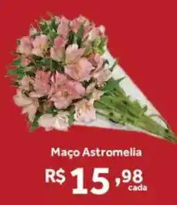 Hirota Food Supermercado Maço Astromelia oferta