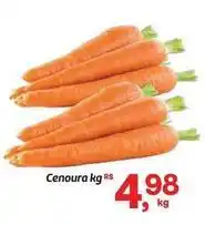 Fort Atacadista Cenoura oferta