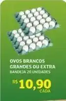Extra - ovos brancos grandes ou extra