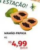 Mamão-papaia