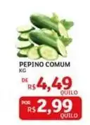 Assaí Atacadista De - pepino comum oferta