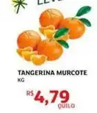 Assaí Atacadista Tangerina murcote oferta