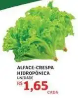 Assaí Atacadista Alface-crespa hidroponica oferta