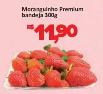 Moranguinho Premium bandeja