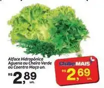 Fort Atacadista Alface hidroponica aguena ou cheiro verde ou coentro maço oferta