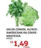 Assaí Atacadista Salsa comum, alface- americana ou couve- manteiga oferta