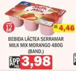 Supermercados Mendonça Bebida láctea serramar milk mix morango oferta