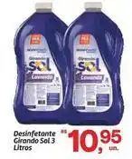Fort Atacadista Sol - desinfetante girando oferta