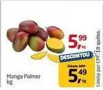 Tenda Atacado Manga palmer oferta