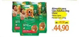 Atacadão Purina - alimento para cães adultos dog chow oferta