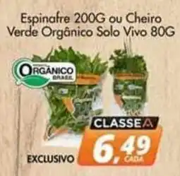 Delta Supermercados Espinafre ou Cheiro Verde Orgânico Solo Vivo oferta