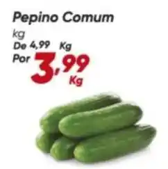 Dia De - pepino comum oferta