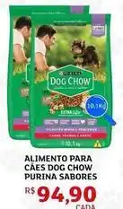 Assaí Atacadista Purina - alimento para cães dog chow oferta
