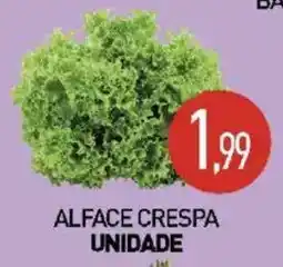 Calvo Atacadista alface crespa oferta