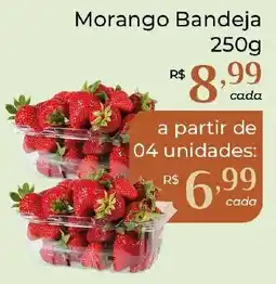 Dona de Casa Morango Bandeja oferta