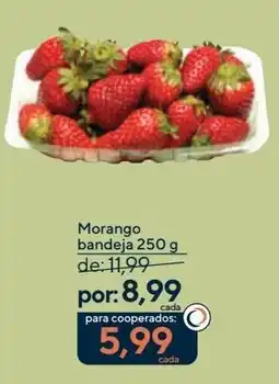 Coop Morango bandeja oferta