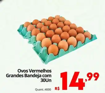 Ovos Vermelhos Grandes Bandeja
