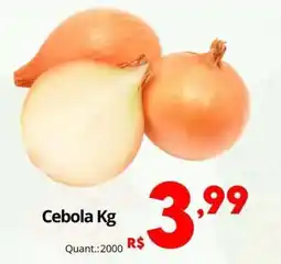 Althoff Supermercados Cebola Kg oferta