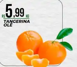 Supermercado Precito Tangerina ole oferta