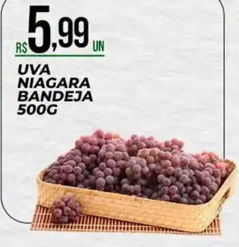 Uva niagara bandeja