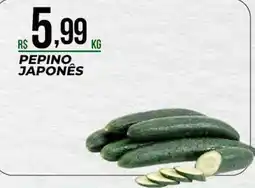 Supermercado Precito Pepino japonês oferta